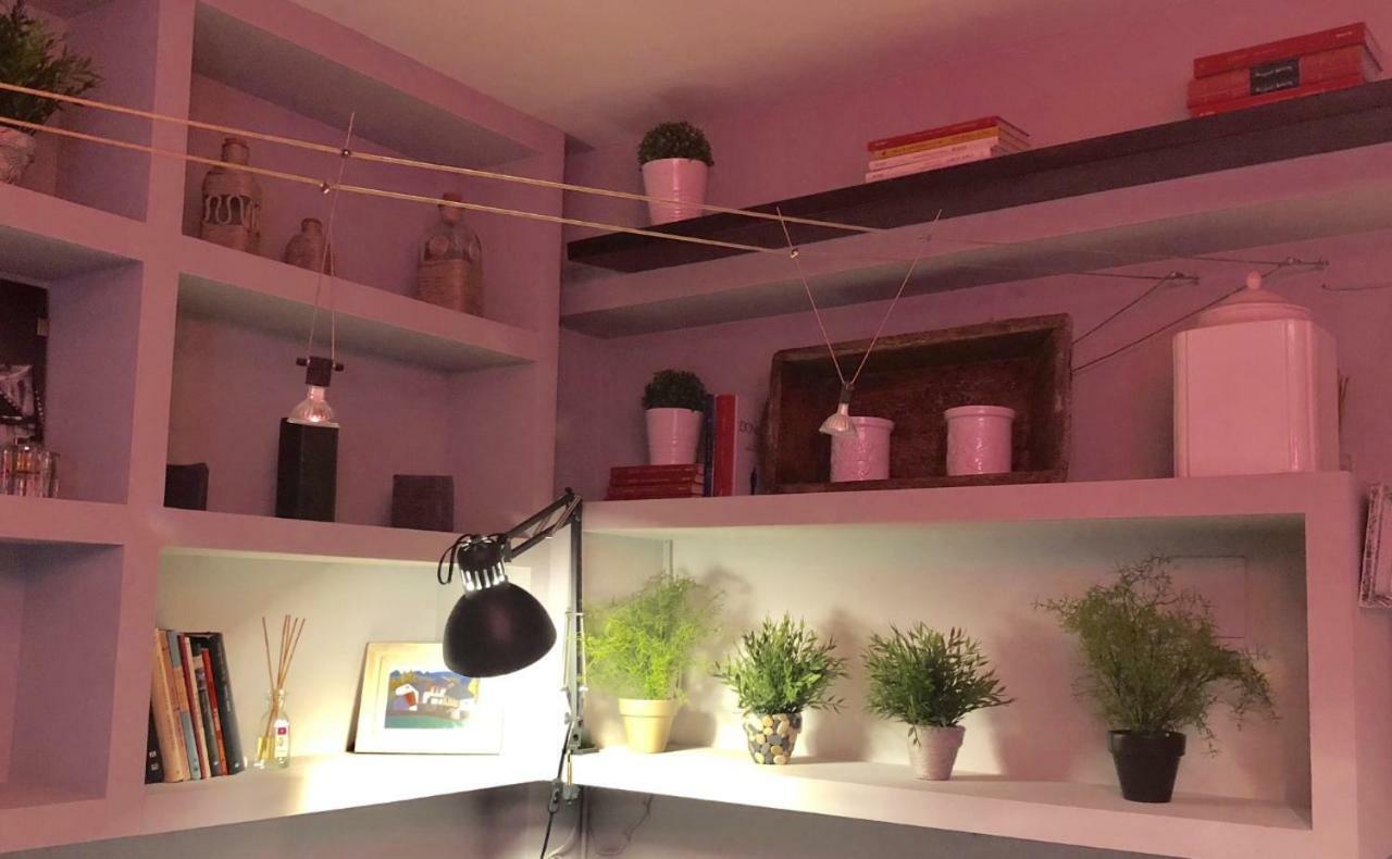 Apartamento San Quirce - Centrico Y Reformado- Wifi Y Netflix باياذوليد المظهر الخارجي الصورة